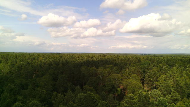 640x480/img_20150619_162203.jpg