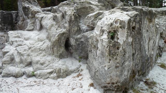 640x480/p1030606.jpg