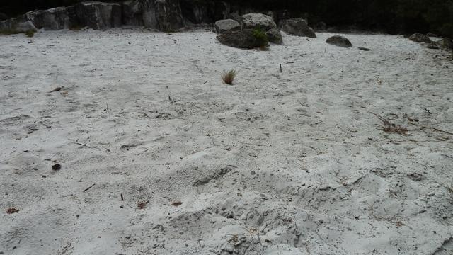 640x480/p1030607.jpg