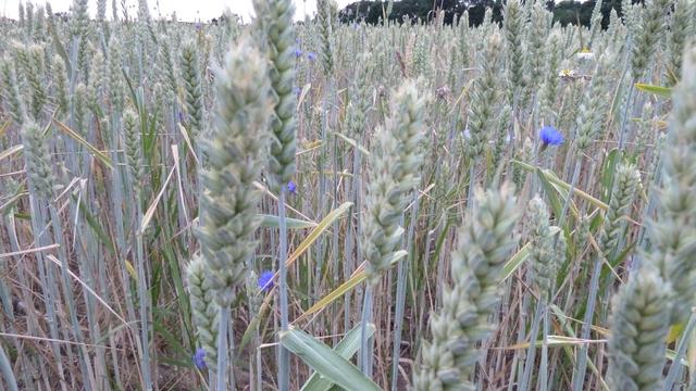 640x480/p1030671.jpg