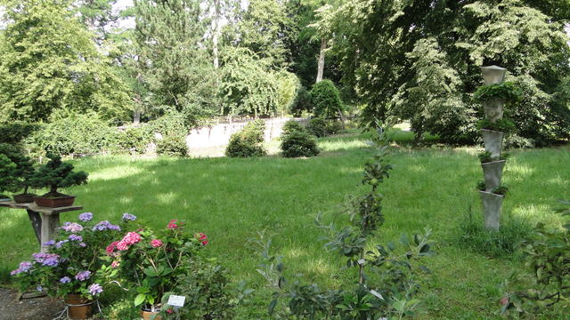 640x480/dsc02305.jpg