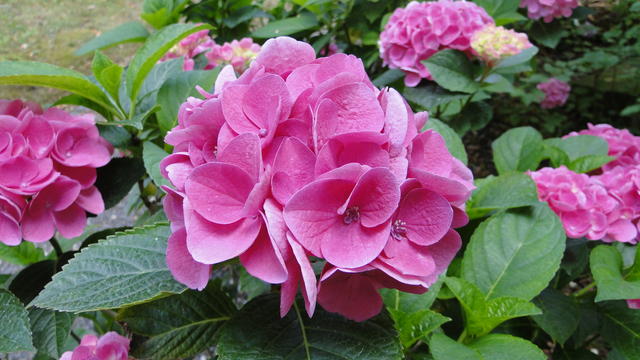 640x480/dsc02306.jpg