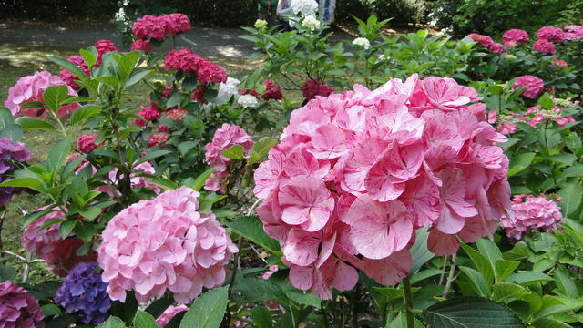 640x480/dsc02307.jpg