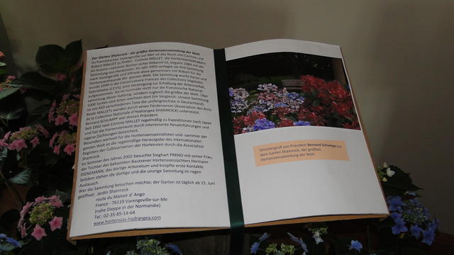 640x480/dsc02314.jpg