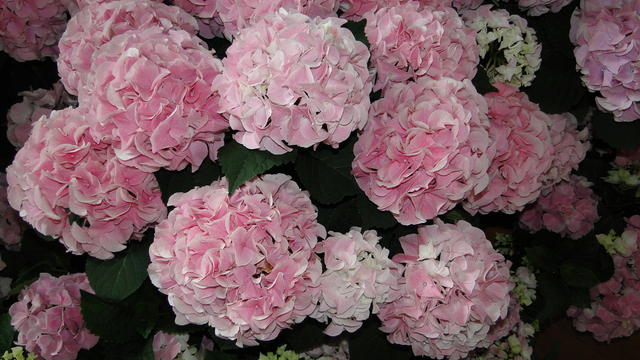 640x480/dsc02316.jpg