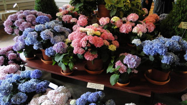 640x480/dsc02327.jpg