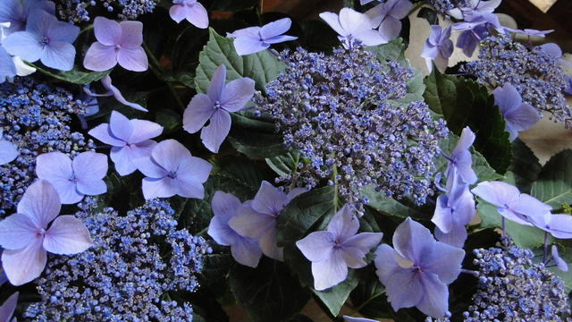 640x480/dsc02334.jpg