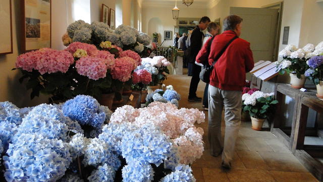 640x480/dsc02338.jpg