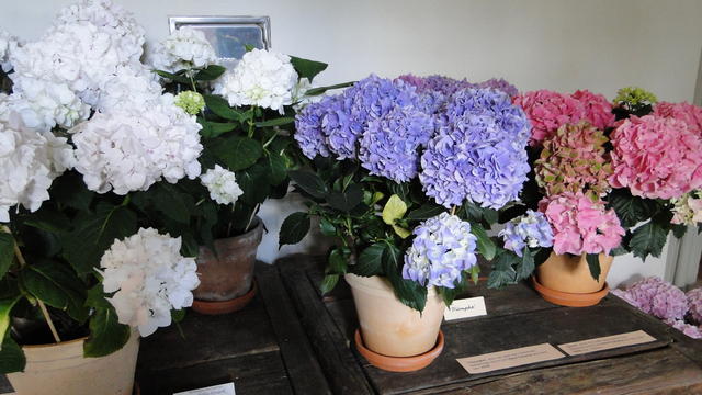 640x480/dsc02340.jpg