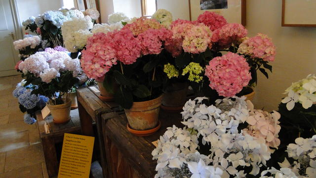 640x480/dsc02341.jpg