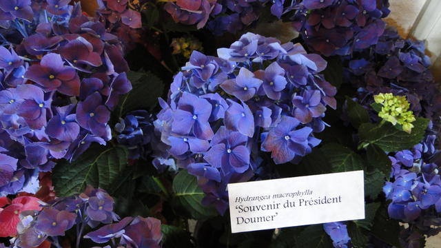 640x480/dsc02342.jpg