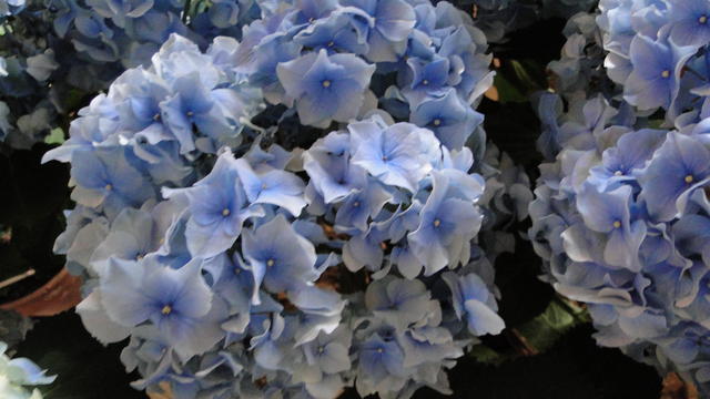 640x480/dsc02343.jpg