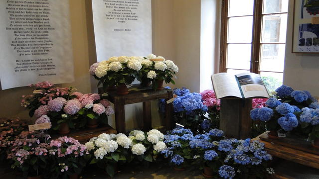 640x480/dsc02354.jpg