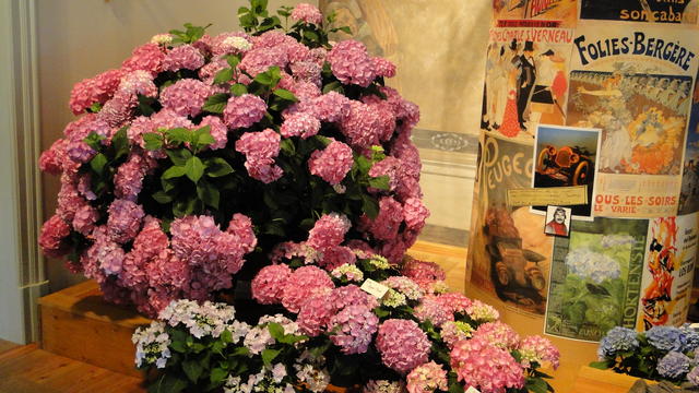640x480/dsc02355.jpg