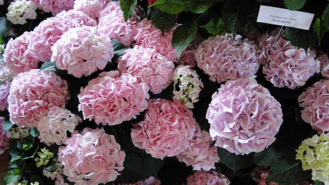 640x480/dsc02356.jpg