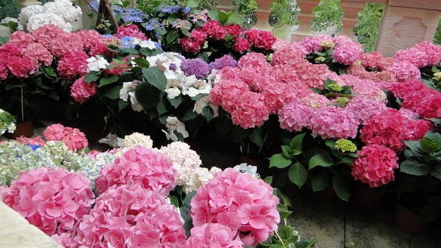 640x480/dsc02358.jpg