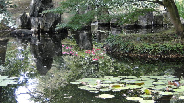 640x480/dsc02361.jpg