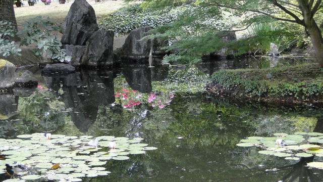 640x480/dsc02362.jpg