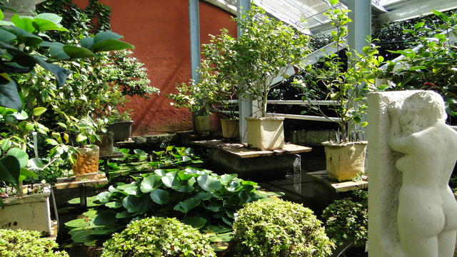640x480/dsc02363.jpg