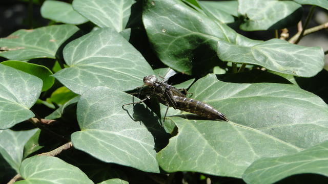 640x480/dsc02365.jpg