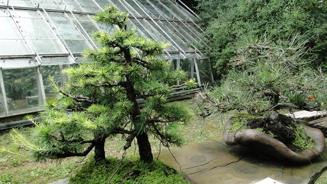 640x480/dsc02366.jpg