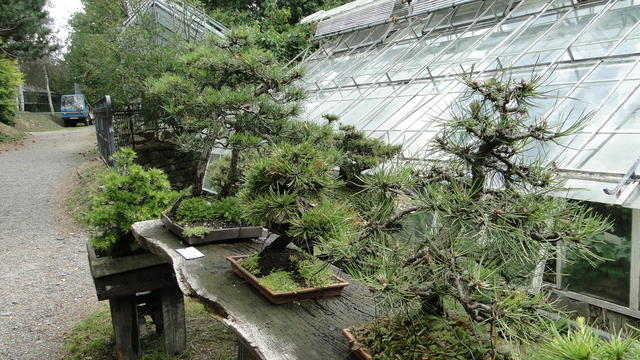 640x480/dsc02367.jpg