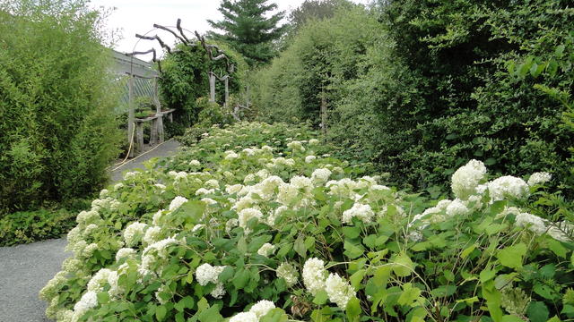 640x480/dsc02369.jpg