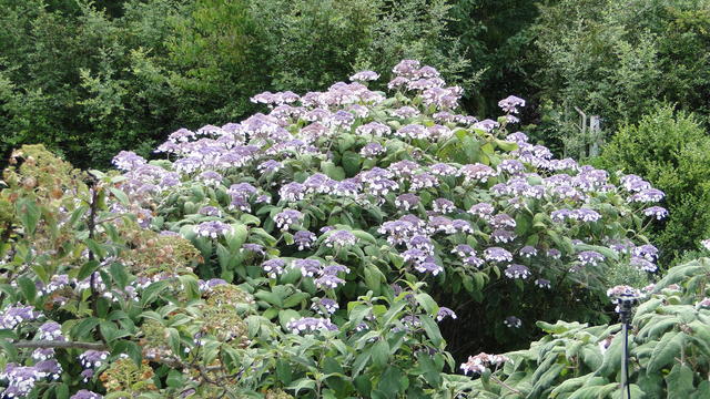 640x480/dsc02375.jpg