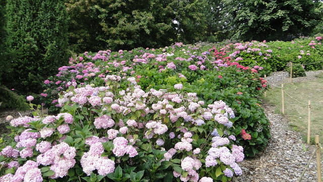 640x480/dsc02376.jpg