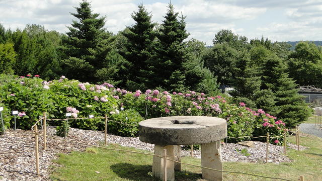 640x480/dsc02377.jpg