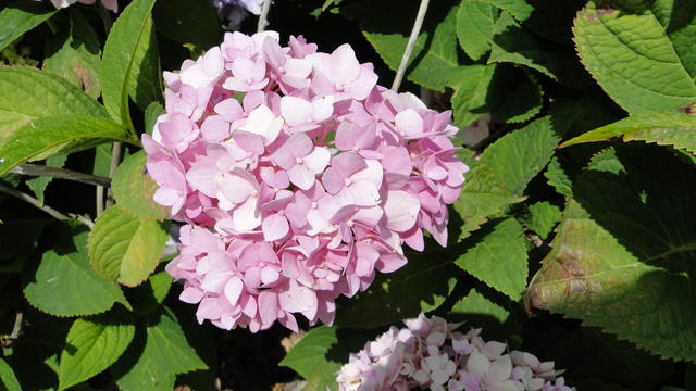 640x480/dsc02380.jpg