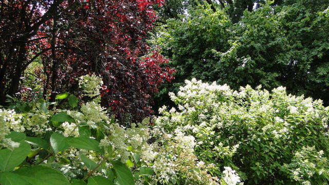 640x480/dsc02382.jpg