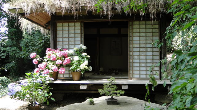 640x480/dsc02383.jpg