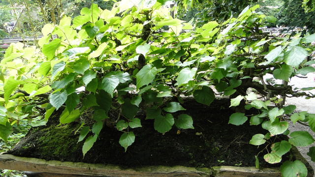 640x480/dsc02386.jpg