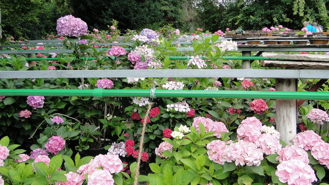 640x480/dsc02392.jpg