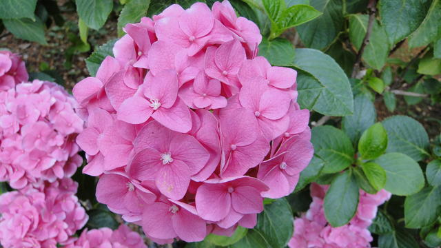 640x480/dsc02397.jpg