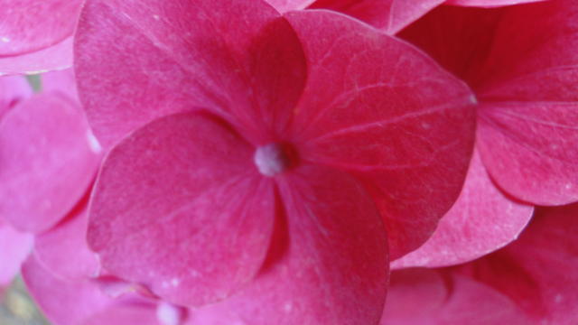 640x480/dsc02400.jpg