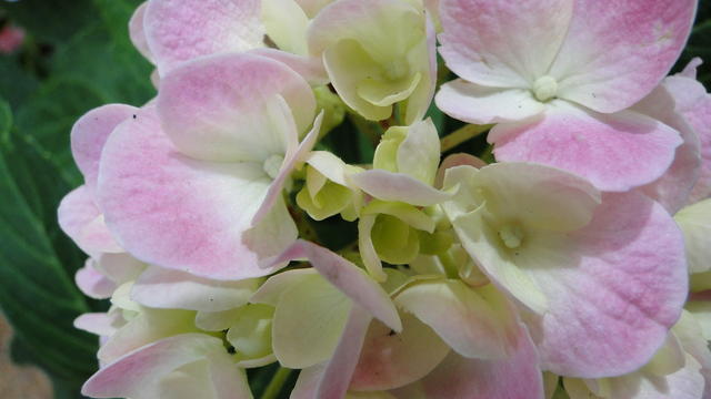 640x480/dsc02401.jpg