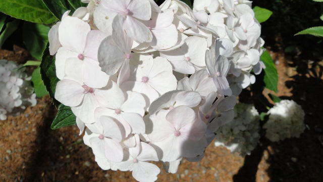 640x480/dsc02402.jpg