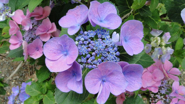 640x480/dsc02404.jpg
