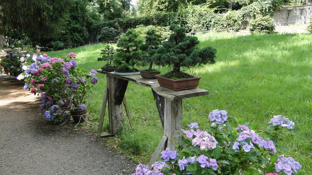 640x480/dsc02405.jpg