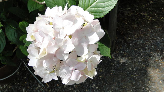640x480/dsc02406.jpg