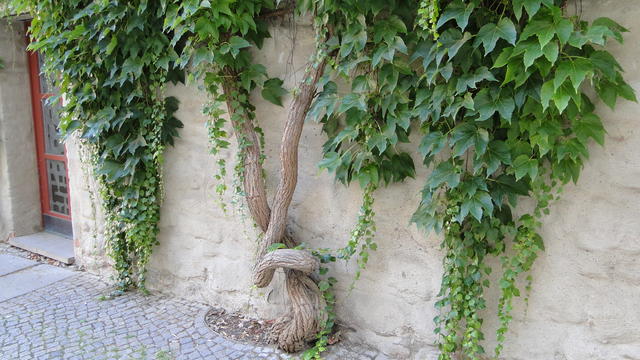 640x480/dsc02461.jpg