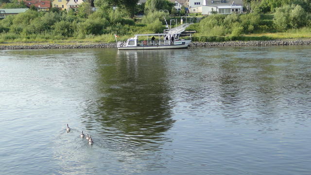 640x480/dsc02462.jpg