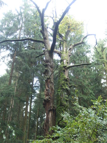 640x480/dscf3510.jpg