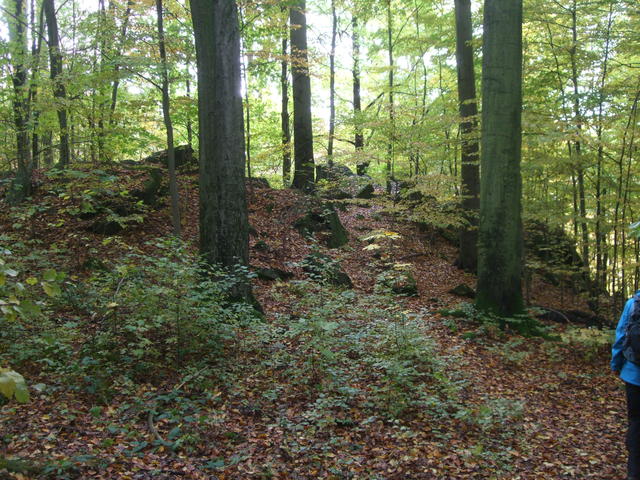 640x480/dscf3517.jpg