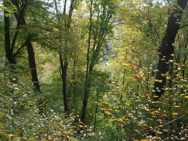 640x480/dscf3534.jpg