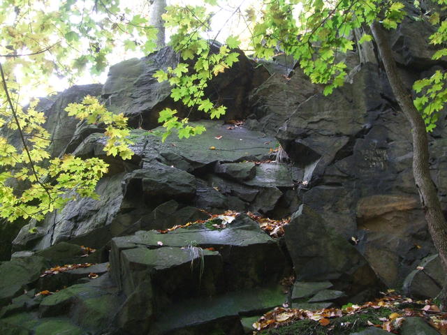 640x480/dscf3539.jpg