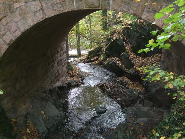 640x480/dscf3575.jpg