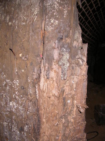 640x480/dscn3509.jpg